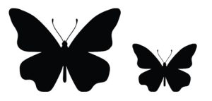 Butterflies templates