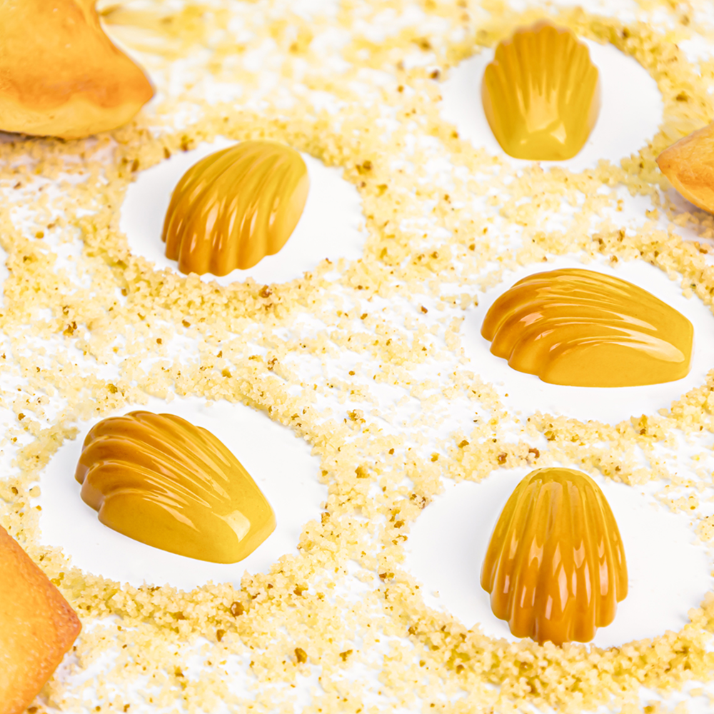 MA1071 Madeleine Chocolate Mould 10g